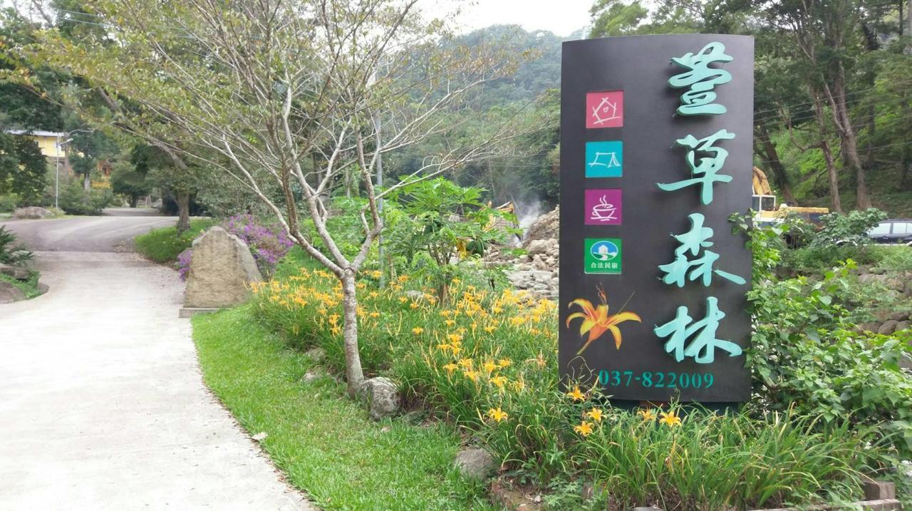 Hemerocallis Country House نانزوانج المظهر الخارجي الصورة