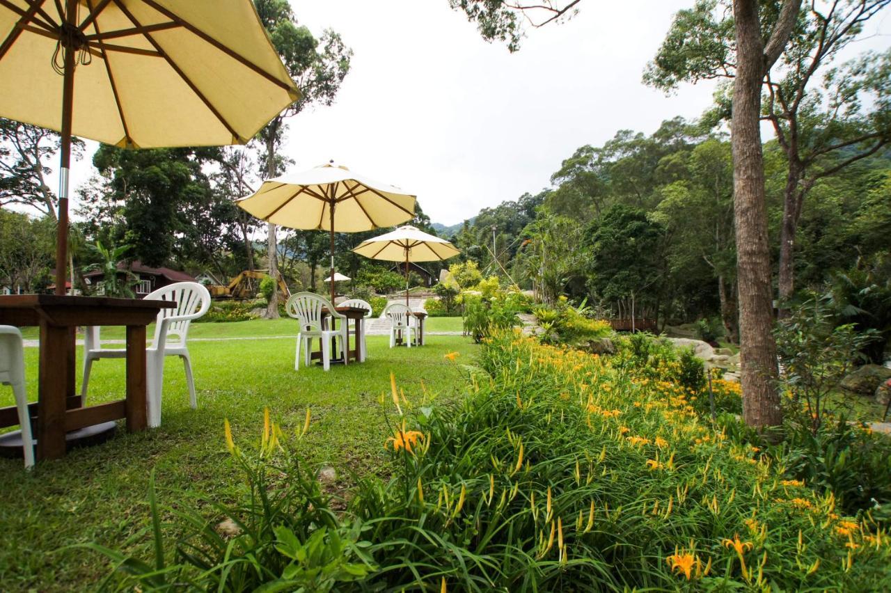 Hemerocallis Country House نانزوانج المظهر الخارجي الصورة