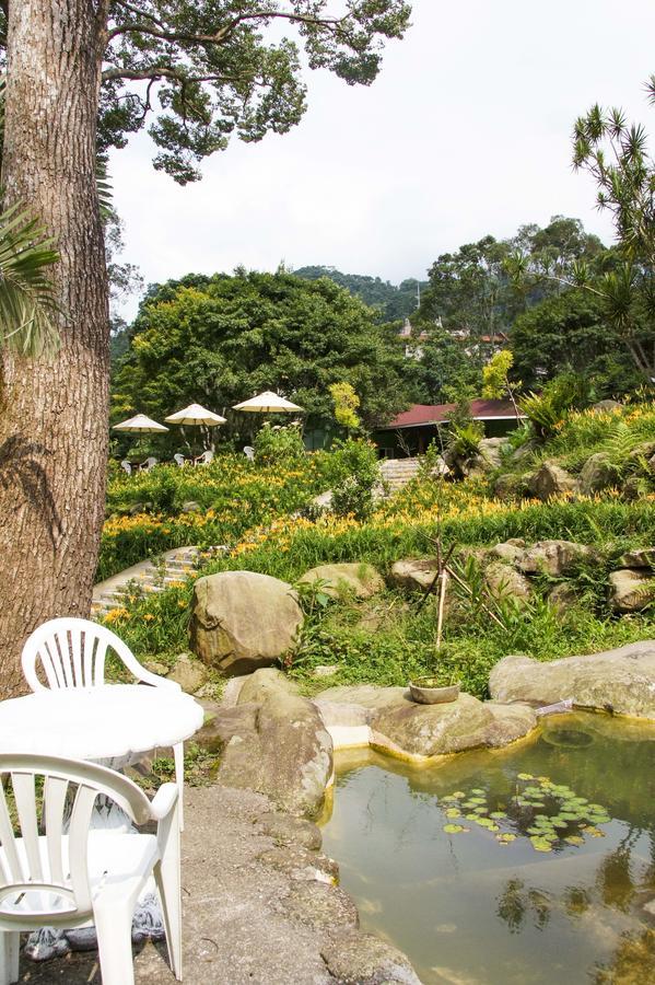 Hemerocallis Country House نانزوانج المظهر الخارجي الصورة