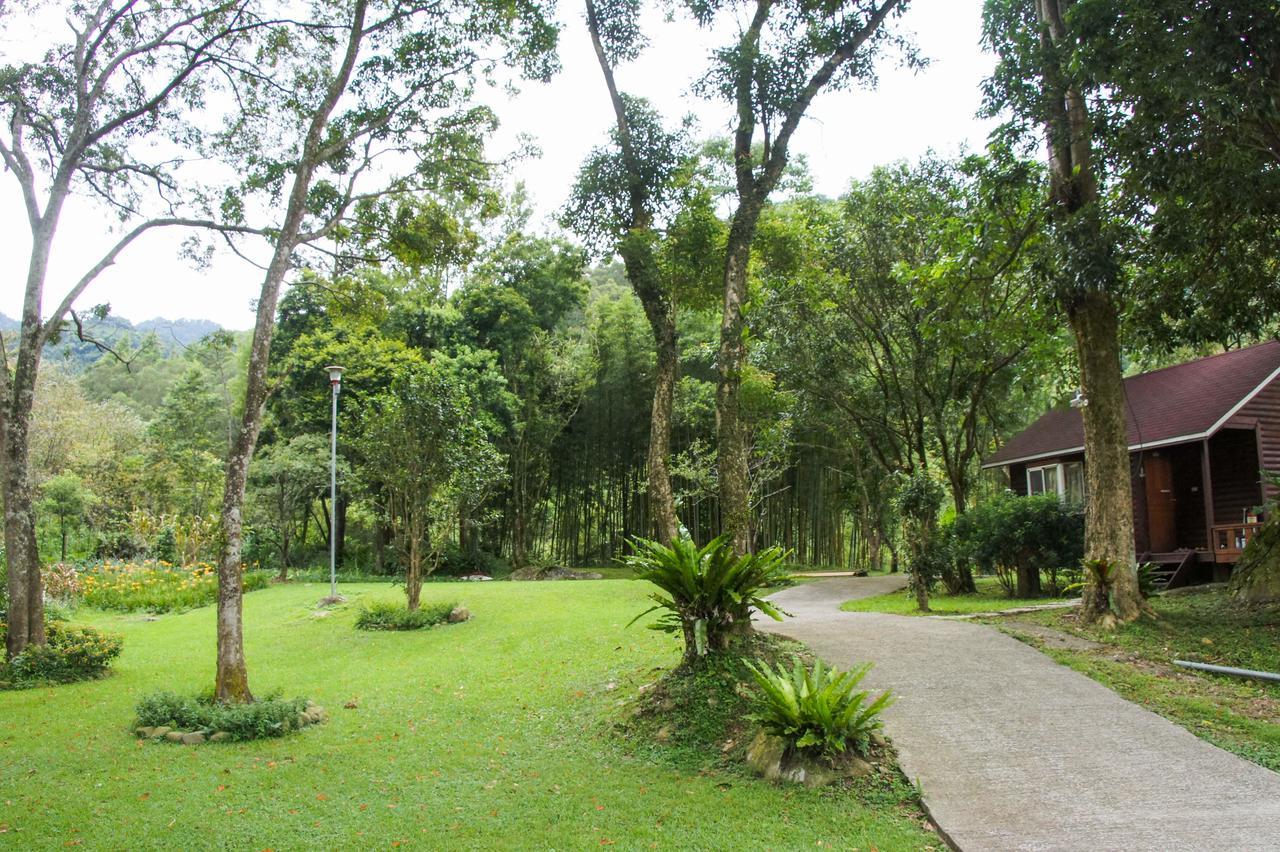 Hemerocallis Country House نانزوانج المظهر الخارجي الصورة