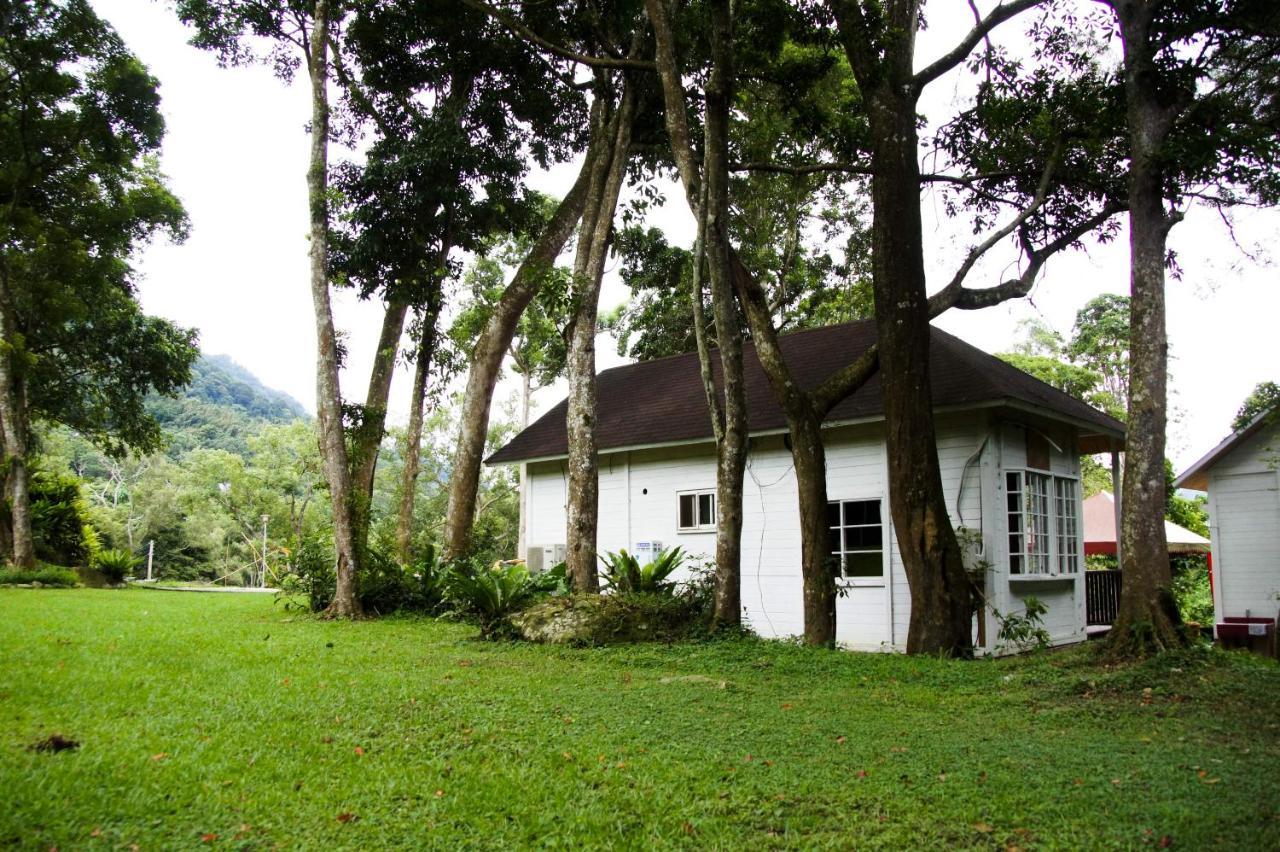 Hemerocallis Country House نانزوانج المظهر الخارجي الصورة